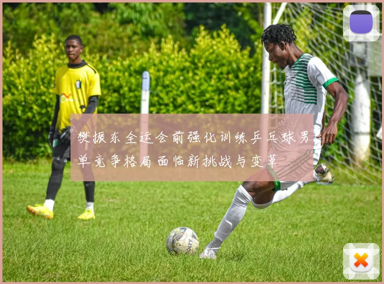 樊振东全运会前强化训练乒乓球男单竞争格局面临新挑战与变革